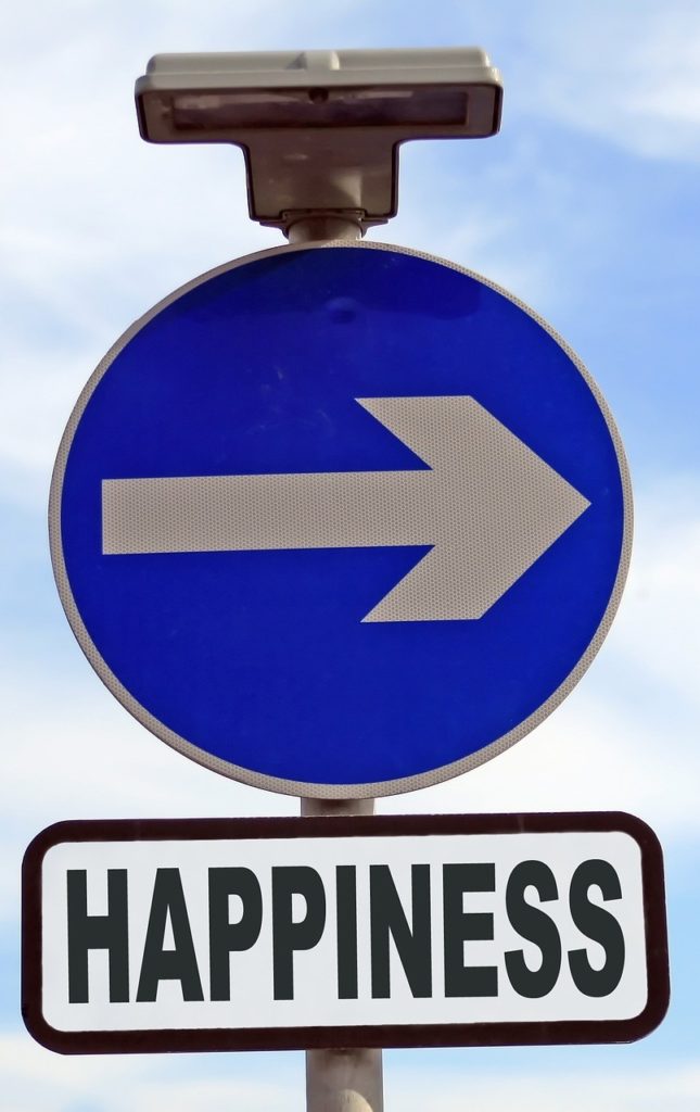 Wegweiser Happyness Checkliste Depression
